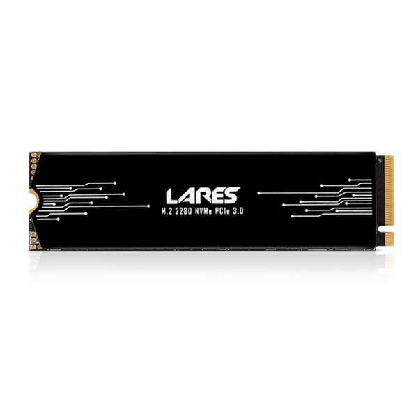 [SSD] J&A LEVEN JP600 LARES M.2 NVMe 2280 256GB TLC 방열판